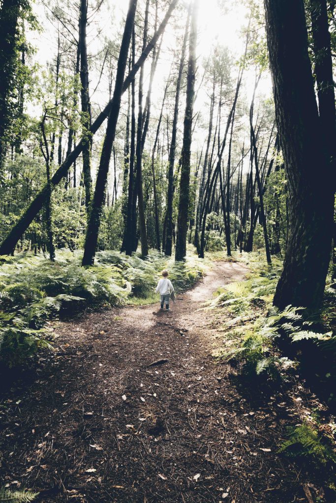 photo lifestyle dans la foret Gujan-Mestras