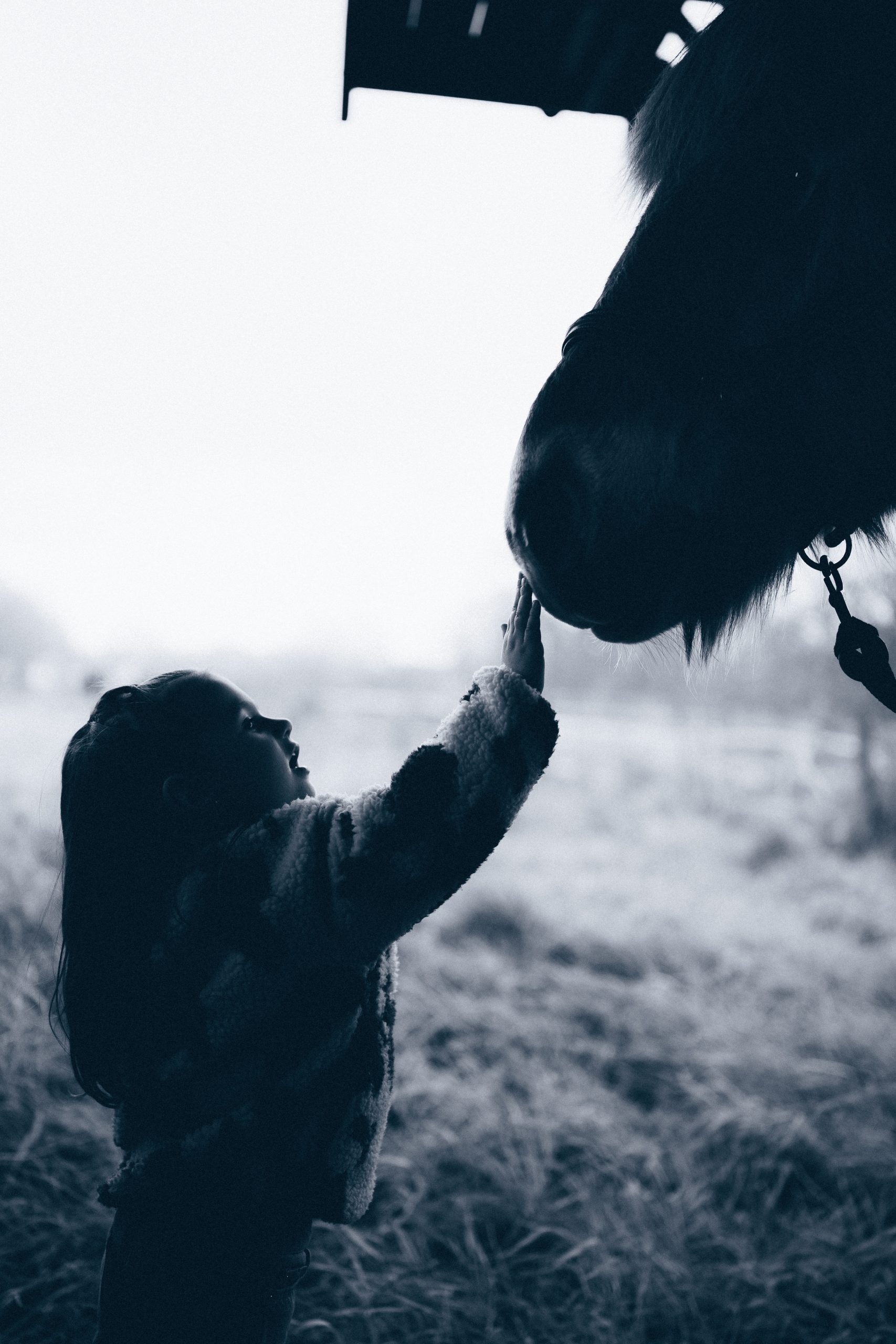 séance famille avec cheval
